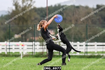 IMG_6977.jpg