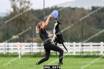 IMG_6979.jpg