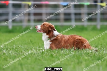 IMG_7052.jpg