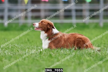 IMG_7055.jpg