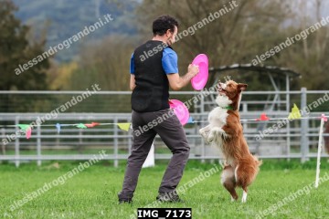 IMG_7173.jpg