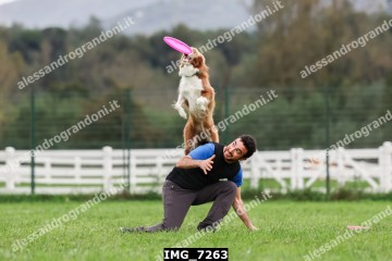 IMG_7263.jpg