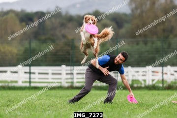 IMG_7273.jpg
