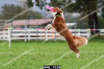 IMG_7320.jpg