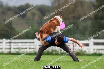IMG_7370.jpg