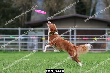 IMG_7426.jpg