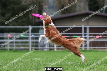 IMG_7428.jpg