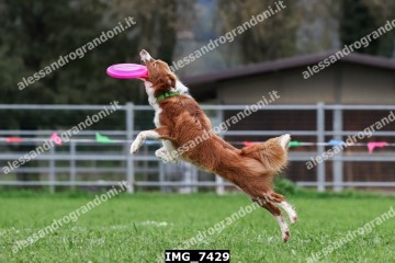 IMG_7429.jpg