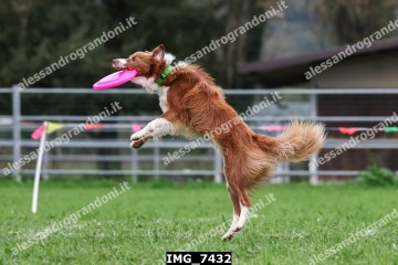 IMG_7432.jpg