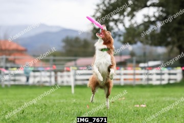 IMG_7671.jpg