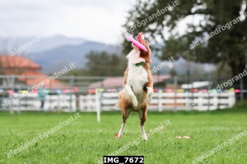IMG_7672.jpg