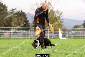 IMG_7724.jpg