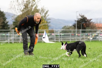 IMG_7737.jpg