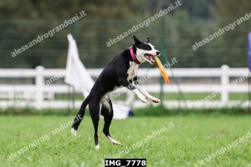 IMG_7778.jpg
