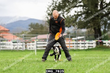 IMG_7825.jpg