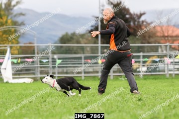 IMG_7867.jpg