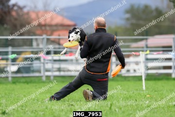 IMG_7953.jpg