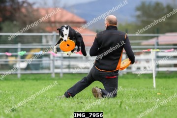 IMG_7956.jpg
