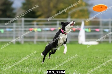 IMG_7994.jpg