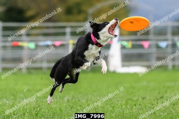 IMG_7996.jpg