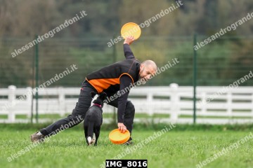 IMG_8016.jpg