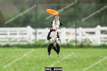 IMG_8068.jpg