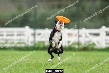IMG_8070.jpg