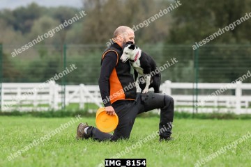 IMG_8154.jpg