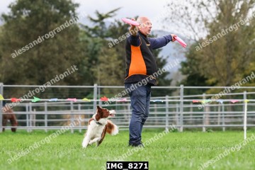 IMG_8271.jpg