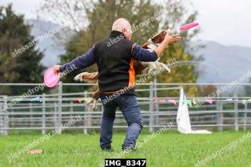 IMG_8347.jpg