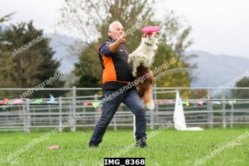 IMG_8368.jpg