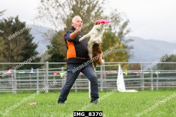 IMG_8370.jpg
