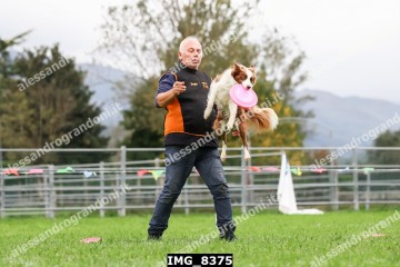 IMG_8375.jpg