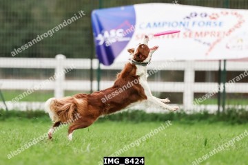IMG_8424.jpg