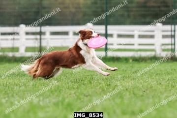 IMG_8534.jpg