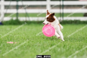 IMG_8555.jpg