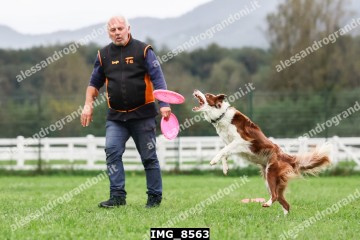 IMG_8563.jpg