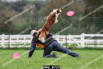 IMG_8737.jpg