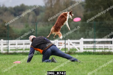 IMG_8742.jpg