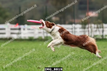 IMG_8819.jpg