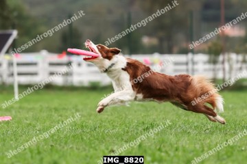 IMG_8820.jpg