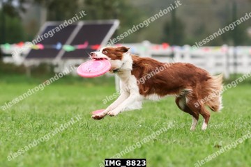 IMG_8823.jpg
