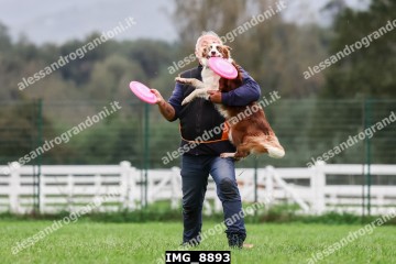 IMG_8893.jpg