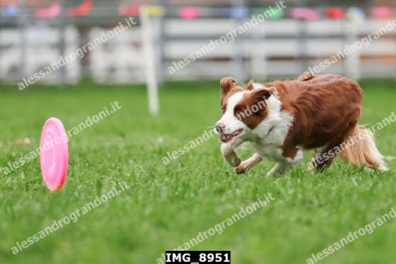 IMG_8951.jpg