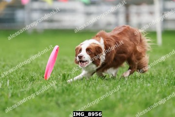 IMG_8956.jpg