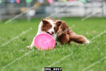 IMG_8957.jpg