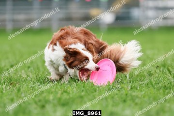IMG_8961.jpg