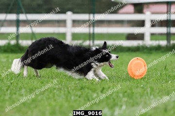 IMG_9016.jpg