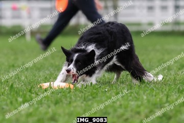 IMG_9083.jpg