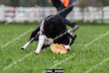 IMG_9090.jpg